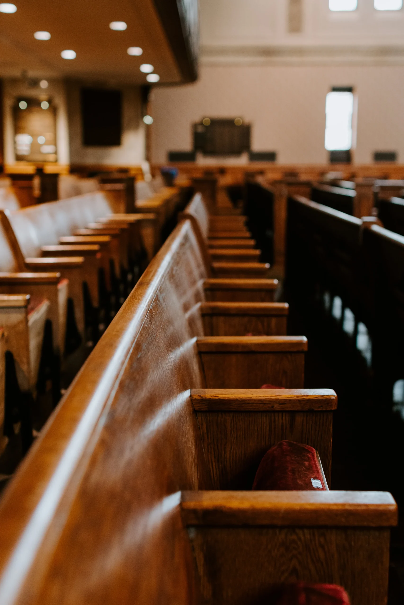 Interior view of empty wooden pews with red cushions in a church or auditorium.